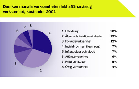 Diagram: Kostnader för kommunal verksamhet inklusive affärsverksamhet 2001. Utbildning 30%, Äldre och funktionshindrade 29%, Förskoleverksamhet 12%, Individ- och familjeomsorg 7%, Infrastruktur och sk