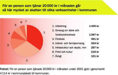 Diagram: En person som tjänade 20 000 kronor i månaden år 2001 betalade 4114 kronor i kommunalskatt. Så här myckat av skatten gick till olika verksamheter: Utbildning 1435 kronor, Omsorg om äldre o fu